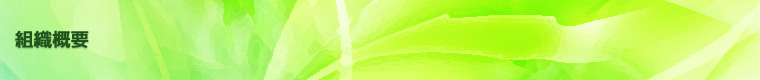 �g�D�T�v
